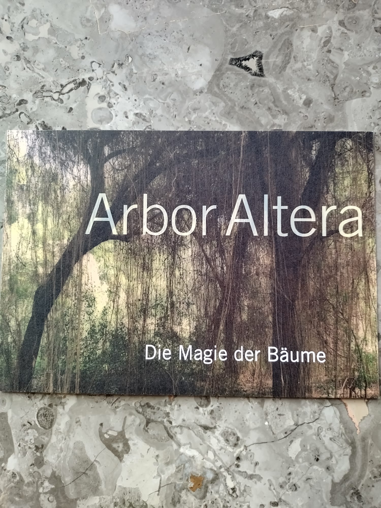 Arbor Altera 2 C Sieglinde Baumgartner